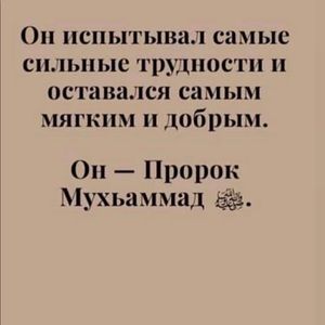 Meet your Posher, Borz